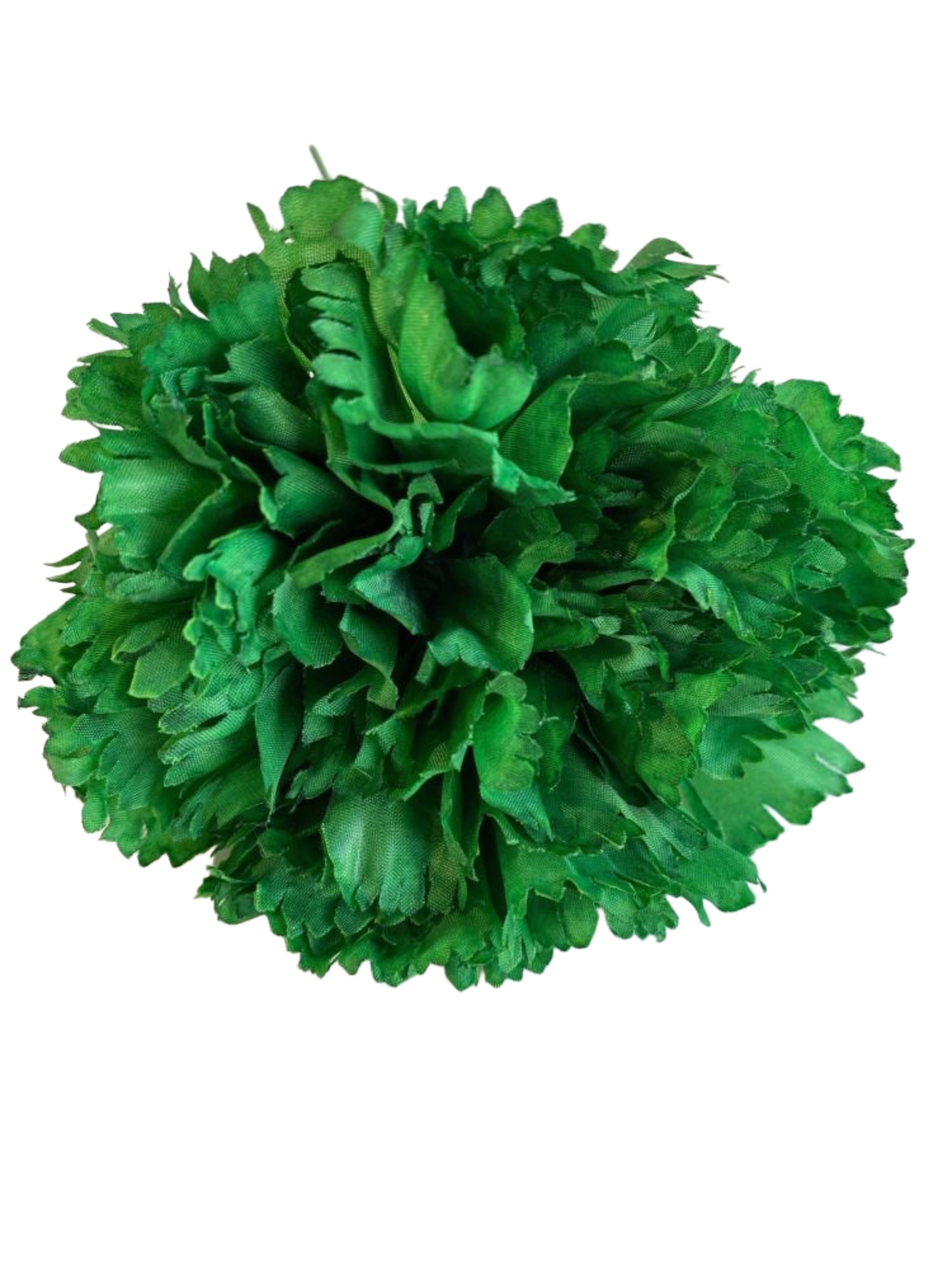 FLOR VERDE ANDALUCÍA CLAVEL 1P