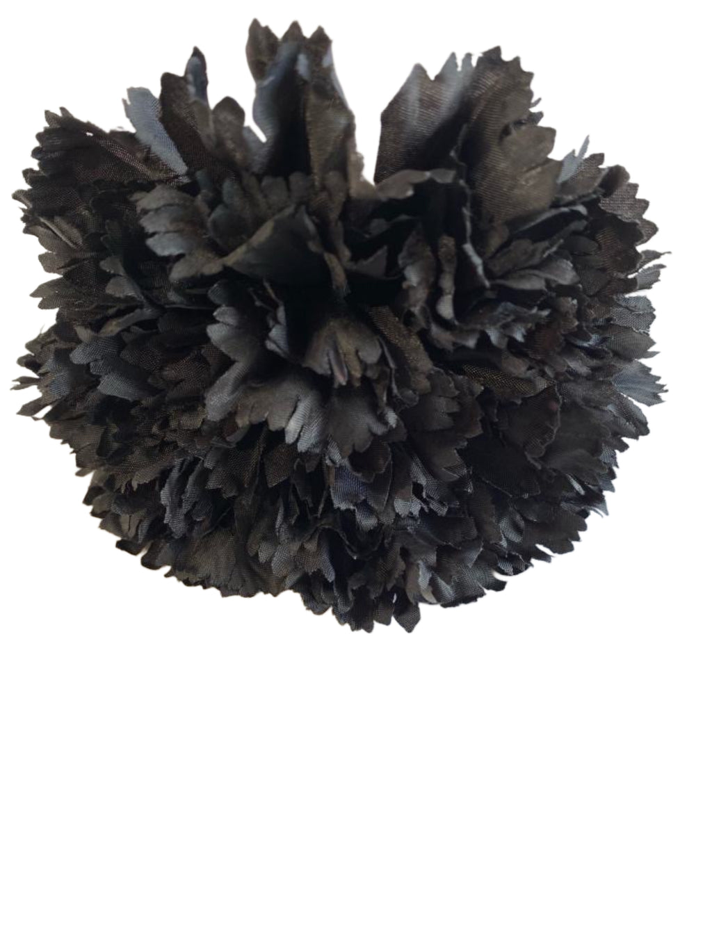 FLOR NEGRO CLAVEL 1P